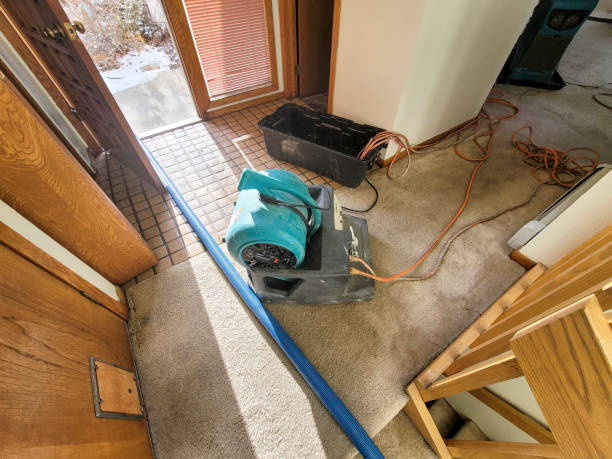 Best Ceiling water damage repair  in Seymour, TX