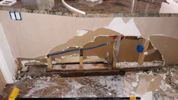 Best Ceiling water damage repair  in Seymour, TX