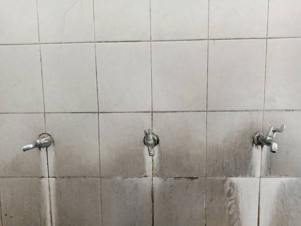 Best Water damage mitigation services  in Seymour, TX