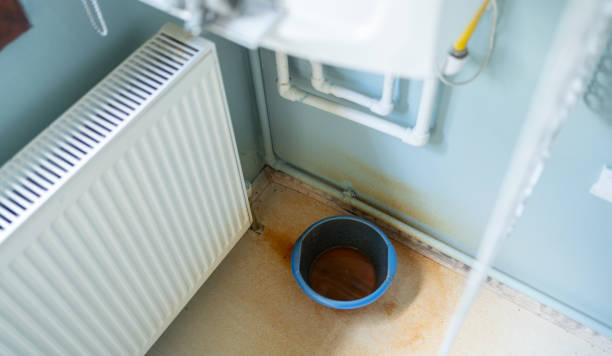 Best Mold removal after water damage  in Seymour, TX