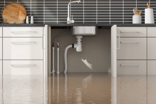 Best Water damage restoration near me  in Seymour, TX
